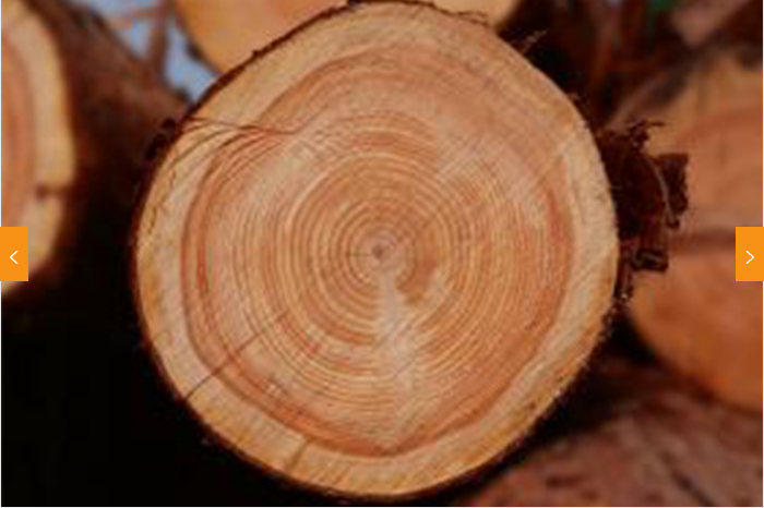 1655775772665891.png image.png