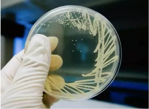 1655791217666007.png image.png